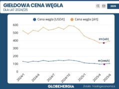 Notowania cen węgla na giełdzie – zaobserwujemy wzrost? 