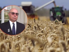 Dwa razy wyższe dopłaty i jedna kontrola. Rolnicy odetchną z ulgą?