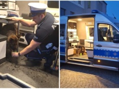 Pies szukał pomocy u policjantów patrolujących Świdnicę [FOTO]