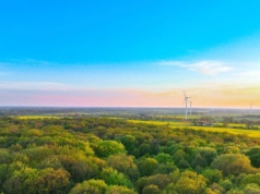 W obfitości grzybów wygrywają w przedbiegach. Oto raj dla grzybiarzy