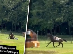 Śmierć na oczach widzów. Ostatni skok Tarastro w Strzegomiu