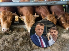 Wilk i Kołodziejczak walczą o pomoc finansową z FOR dla rolników oszukanych przez skup bydła