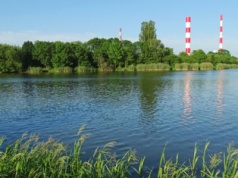 Zakaz kąpieli w Jeziorku Czerniakowskim w Warszawie