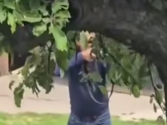 Krwawa egzekucja pod Limanową. 57-latek zastrzelił córkę i zięcia, postrzelił teściową. Trwa obława!