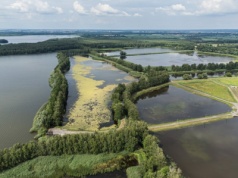 To ewenement na skalę Polski i Europy. Malownicze stawy i dzika przyroda