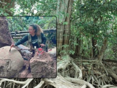Głęboko w Amazonii znaleziono coś dziwnego. Archeolodzy zdumieni