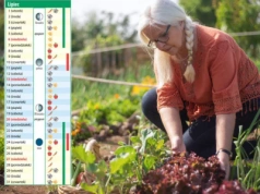 Kalendarz biodynamiczny na lipiec 2025: kiedy ciąć i pryskać?