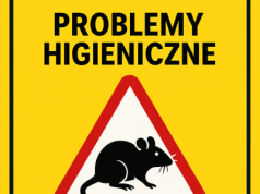 Problemy sanitarno-higieniczne w znanej sieci kawiarni Bröd & Salt – szczury, muszki i mrówki w lokalach