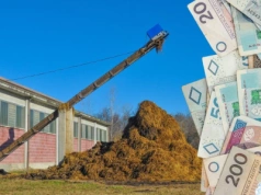 Trzymasz bydło na pastwisku cały rok? Sprawdź, czy musisz mieć płytę obornikową