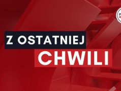 Niemcy – makabryczne odkrycie na cmentarzu leśnym w Dorsten: Nie żyje kobieta i dziecko