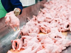 Ukraińskie MHP jest największym producentem drobiu w Europie. Unia jest kluczowym rynkiem zbytu