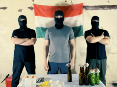 Węgierska flaga i koktajle Mołotowa. Rosjanie wezwali zakarpackich Węgrów do rewolty przeciw Kijowowi