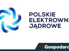 Marek Woszczyk odpowiada za polski atom