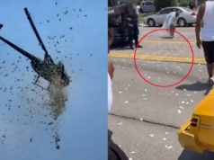 USA: helikopter rozrzucił tysiące baksów nad miastem, bo taka była wola zmarłego właściciela myjni samochodowej