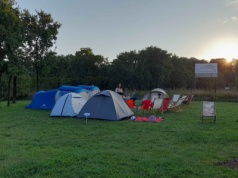 zBIWAKowani, czyli magiczna noc w Ogrodzie Botanicznym. Ruszają zapisy