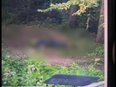 Koniec obławy w Starej Wsi. Ciało 57-letniego zabójcy Tadeusza Dudy odnalezione w lesie