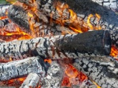 Palenisko ogrodowe. Oto jak uniknąć finansowych konsekwencji ognia