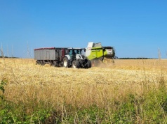 Kombajny ruszyły w pola. Ile płacą w skupach za jęczmień?