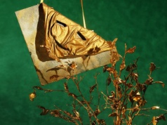 Teatralna uczta w sercu Sądecczyzny – nadchodzi 29. Jesienny Festiwal Teatralny w Starym Sączu!