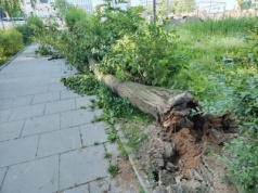 Kraków. W nocy i o poranku może być niebezpiecznie