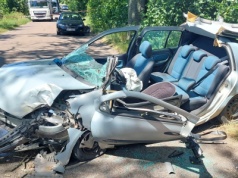 Auto roztrzaskało się na drzewie. Strażacy rozcinali wrak, by wydostać kobietę