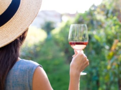 Biznes z potrzeby serca. O regionie, który pokochał produkcję wina (WYWIAD)