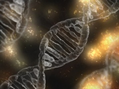 Zdradził go profil DNA… Zbrodnia sprzed trzech dekad