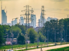Fala gorąca wywołuje szok cenowy. Nawet 50-krotny skok w ciągu dnia