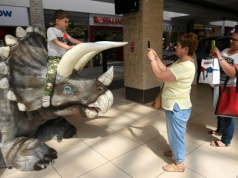 Jak nam się żyło z dinozaurami? Te badania pokazują stopień niewiedzy Polaków