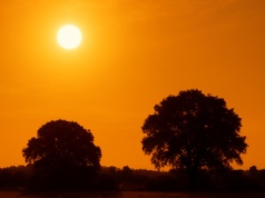 Uwaga, będzie gorąco! IMGW ostrzega przed upałami [Ostrzeżenie meteorologiczne]