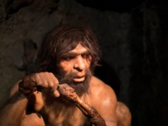 Biznes na wagę życia. Neandertalczycy prowadzili 