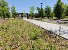 Nowy park w Toruniu. Zielona przestrzeń powstała przy Polnej