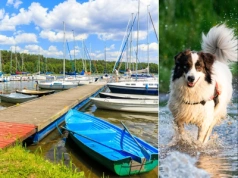 Wymarzone miejsce na wakacje z pupilem. Uwielbiała je Agnieszka Osiecka