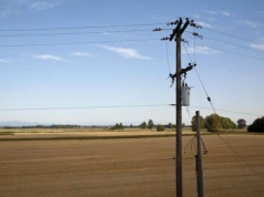Czy rolnik odpowie za naruszenie obniżonej linii telefonicznej?