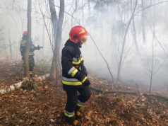 Zagrożenie pożarowe w Polsce. RCB rozesłało alerty dla czterech województw