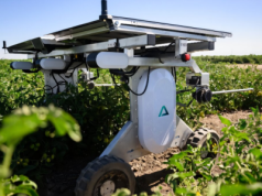 Robot zamiast opryskiwacza. Sztuczna inteligencja odchwaszcza pola bez chemii