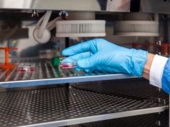 Rok programu in vitro. Mamy pełne dane z Ministerstwa Zdrowia. 14 tysięcy ciąż