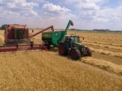 W żniwa koszą na wsiach najwięcej pieniędzy. Jak zostać kombajnistą?