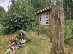 Piękna przyroda i ślady historii. Puszcza Bydgoska w naszym wakacyjnym przewodniku [zdjęcia]