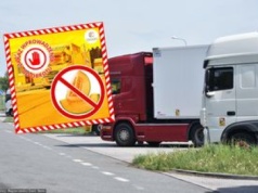 Te melony miały trafić do sprzedaży w Polsce. Odrażające odkrycie
