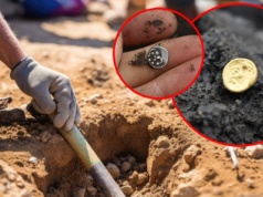 Wykopali starożytny skarb Celtów w Czechach. 13 tys. worków artefaktów