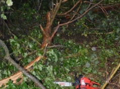 Tragedia podczas sprzątania po burzy. Nie żyje 56-latek
