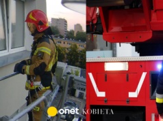Kot na parapecie siódmego piętra. Strażacy w nietypowej akcji ratunkowej
