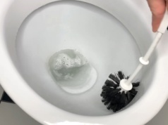 Przetnij go na pół, posyp solą i umyj WC. Efekty są genialne