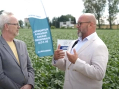 Pomerania, Janetka i Jabadu w Ulhówku. Czym się wyróżniają nowe odmiany buraka? (FILM)