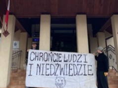 Burza wokół niedźwiedzi w Cisnej. Gmina zapowiada zaskarżenie decyzji własnego wniosku o odstrzał