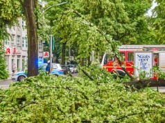 Wichura uszkodziła Twój samochód? Możesz dostać odszkodowanie, nawet jeśli tylko stał zaparkowany