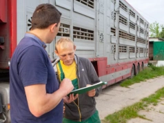Dobrostan zwierząt: będą zmiany. Rolnicy już nie stracą dopłat