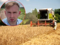 Rolnicy zaczną w końcu zarabiać? Zespół bierze pod lupę ceny skupu i koszty