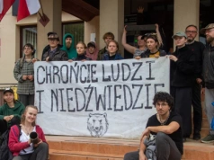 Kostium niedźwiedzia, kajdanki i apele. Dramatyczne sceny w urzędzie